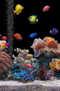 21 best fish in