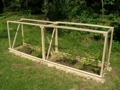 Pvc And Netting To Cover Blueberry Bush We Have One Last Year Blueberry Enclosure