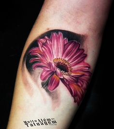 gerbera daisy tattoo designs gerbera daisy n butterfly tattoo gerbera daisy tattoo designs gerbera daisy n butterfly tattoo