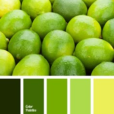 Colors That Match Green brown shades & color of pumpkin. - monochrome color palette Colors That Match Green brown shades & color of pumpkin. - monochrome color palette