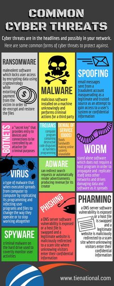 Common Cyber Threats