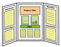 16 best tri fold poster board ideas images on pinterest school