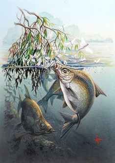 La pêche-La truite-Golden-Poissons-Sports brodé Iron On Patch-Style A-R