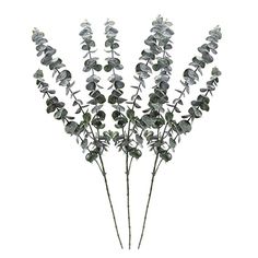 Eucalyptus branche 78 cm DP art branche artificielle branches Art Plantes Artificiel E