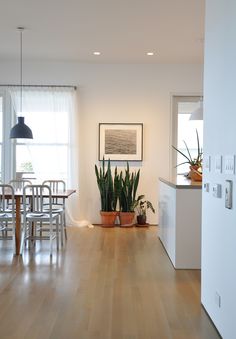 18 Best Kitchen Recessed Lighting Images Dining Rooms Expert Advice 5 Things To Know About Recessed Lighting From Architect Oliver Freundlich