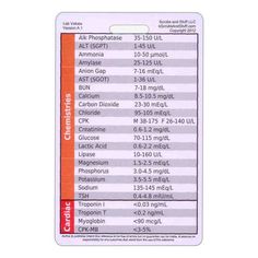 pocket reference cards templates