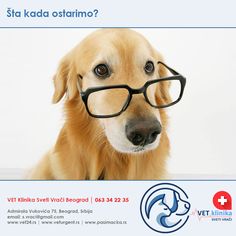 kao liječenje hipertenzije u sad-u kamenje u liječenju hipertenzije