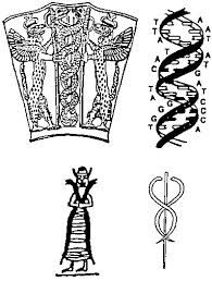 РезÑлÑÐ°Ñ Ñ Ð¸Ð·Ð¾Ð±Ñажение за symbol for human dna