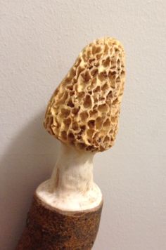 Handmade Mini Morel Mushroom Vessels