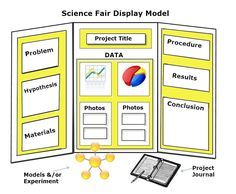 science project board layout examples they are very clear when science fair project poster board layout