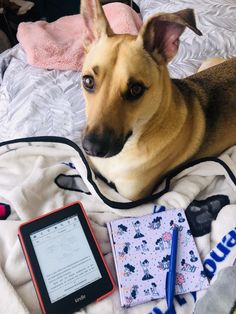 El Blog De Angie Lu Elblogdeangielu Perfil Pinterest