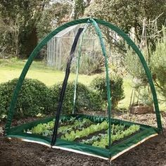 Square Cloche Replacement Cover Polypropylene Grow House Protector Herbs Flowers