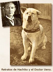 12 Ideas De Imagenes Siempre A Tu Lado Hachiko Hachiko Perro Hachiko