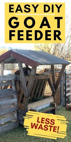 How To Make a DIY Hay Feeder For Goats! It's easy to spend a lot of money on hay for your goats. If you are raising goats then you are probably storing hay and then slowly feeding it to your goats throughout the year. And when you feed the goats it's best to keep the hay off the ground and covered. This DIY hay feeder for goats is a great option! #GoatFeederIdeas #GoatFeederPlans #HayRack Diy Hay Feeder, Goat Hay Feeder, Goat Milking Stand