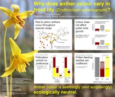 35 best scientific poster design images scientific poster design scientific poster format