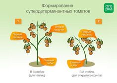 Как удалить и что это