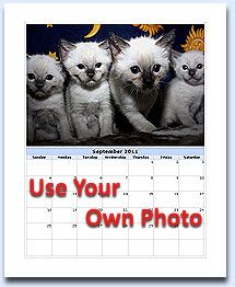 free photo calendar template photos pinterest photo calendar make free calander