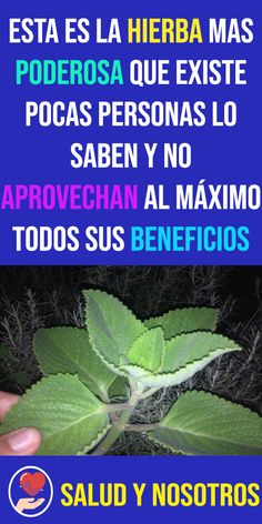 ESTA ES LA #HIERBA MAS #PODEROSA QUE EXISTE POCAS PERSONAS LO SABEN Y NO #APROVECHAN AL MÁXIMO TODOS SUS #BENEFICIOS Herbs, Ejercicio, Abdominal, Aloe Water, Pilar