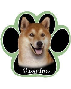 SHIBA INU PAW LOVE HEART PET DOG METAL LICENSE PLATE FRAME TAG HOLDER