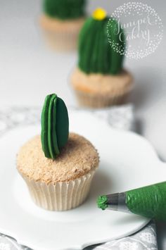 Cactus Cake Tutorial Cactus Cake Succulent Cake Cake Decorating