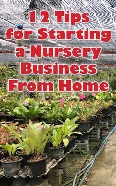 Small Business Ideas List Of How To Small Business Ideas List Of How To