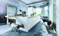 Best next kitchens images german kitchen kitchens