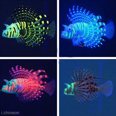 19 best seachem fresh