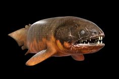 43 best river monsters