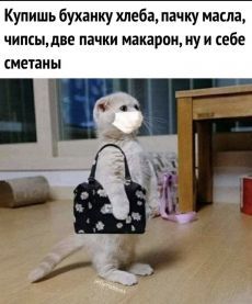 | "Стихи...как много их вокруг...В них чьи то судьбы, чьи то души. Читаешь их...и понимаешь вдруг, в одних любовь, в других весь мир разрушен". | Постила