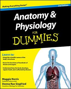 Anatomy And Physiology For Dummies By Maggie Norris Amazon