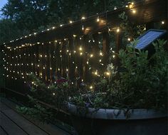13 Best 户外灯串 Images Solar String Lights Sunlight Exterior Light Offers Variety Of Solar Lighting Options Including Garden Stakes Sculptures Net Lights Tree And Christmas