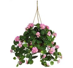14 Best Artificial Flowers In Hanging Baskets Images Geranium Hanging Basket Silk Plant