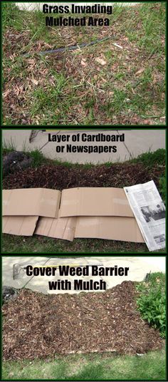 sheet mulching cardboard