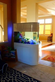 260 best fish aquariums