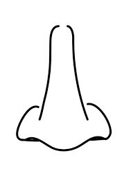 human nose clipart black and white Google Search pics to put in