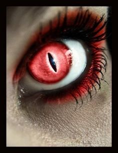 red snake contacts sham