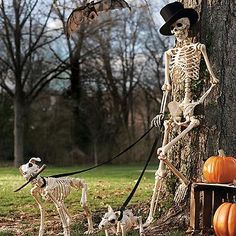 5 skeleton figure