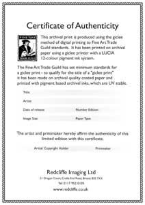 Examples Of Certificates On The Back Original Art Certificate Examples Of Certificates On The Back Original Art Certificate Authenticity For Jp Limited Edition Prints