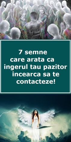 pierdere în greutate de praf de zână sanctuarul sanctuarului penang