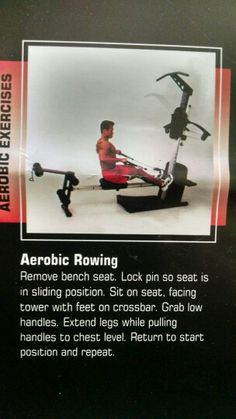 50 best weider crossbow exercises images crossbow at gym exercise chart for biceps