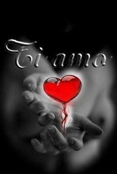 Ti Amo Il Mio Cuore Foto Ti Amo Amore Mio Immagine Pensieri D