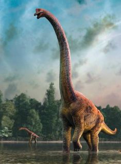 Universal Jurassic World 2 Potable Dinosaure bouteille d/'eau pour enfants