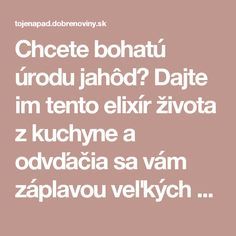 Zralá žena s melounama vám to natře! Zralá žena s melounama vám to natře!