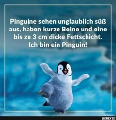 Welche Punkte es vorm Bestellen die Bilder mit sprüchen drauf zu analysieren gibt