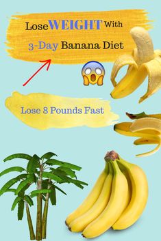 Best fat burning supplements ireland photo 6