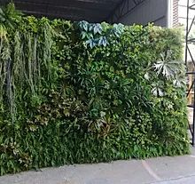 33 Indoor Outdoor Boxwood Walls Ideas Plant Wall Green Wall Artificial Plant Wall