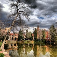 Cu boulder admissions essay