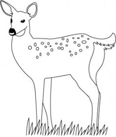 deer may 21 june 20 the flowering time butterfly clan free coloring pagescoloring - Deer Coloring Pages deer may 21 june 20 the flowering time butterfly clan free coloring pagescoloring - Deer Coloring Pages