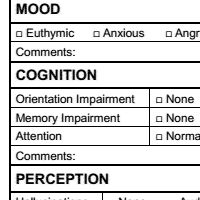 mini mental health exam pdf