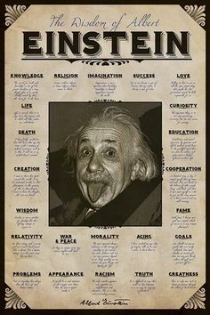 Albert Einstein Tongue Mini Poster 40cm x 50cm new and sealed